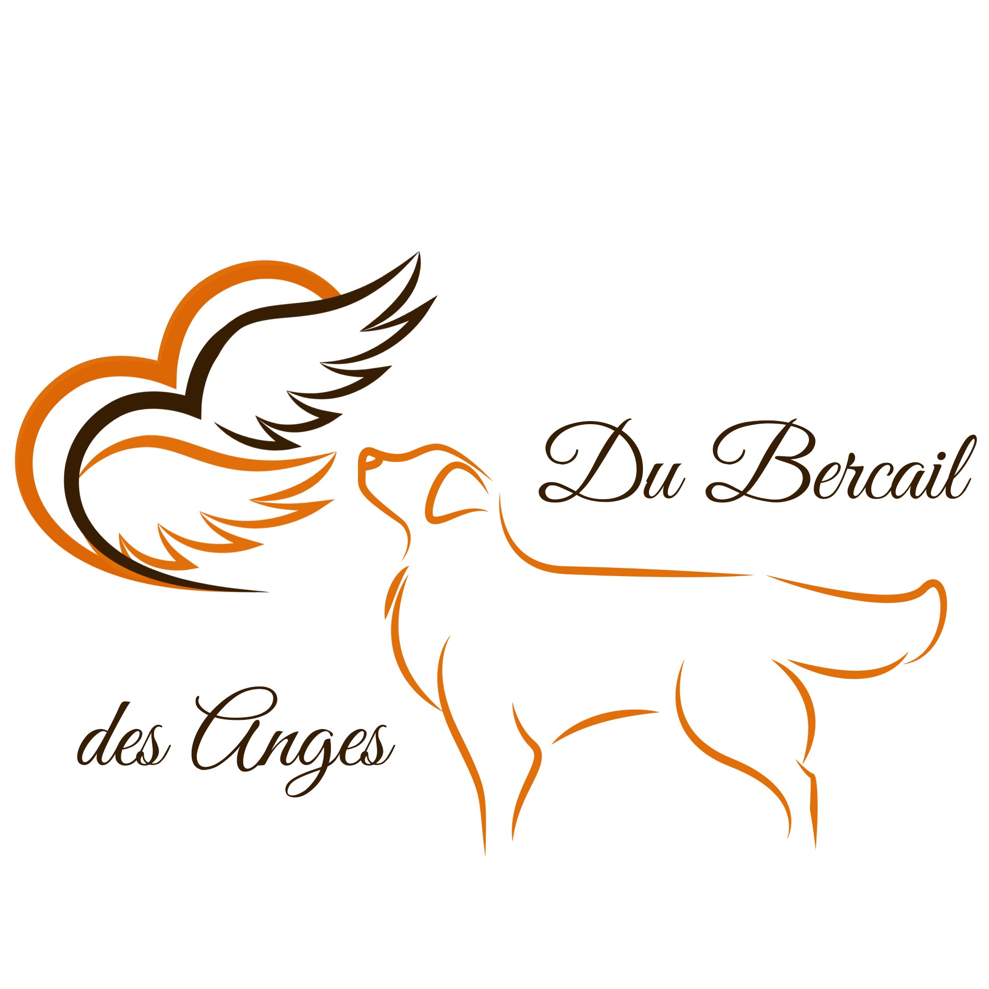 du Bercail des Anges